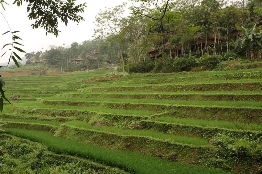 Vietnam 